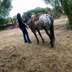 Meet your Posher, Clarissa